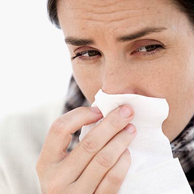 Sinus