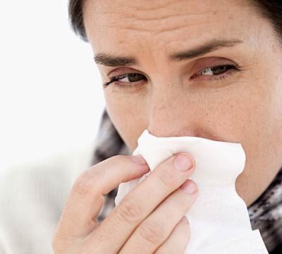 Sinus